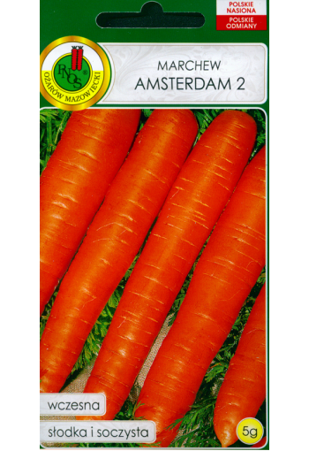 Морковь "Амстердам 2"